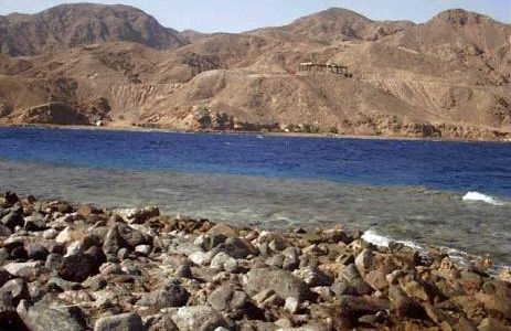 ضبط مافيا سودانية تسرق الذهب من جبال البحر الأحمر