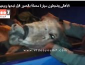 اكبر مطاعم الاكل تبيع للناس لحم حمير