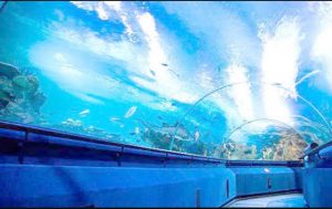 تعرف على الأماكن السياحية في كوالالمبور بماليزيا 4