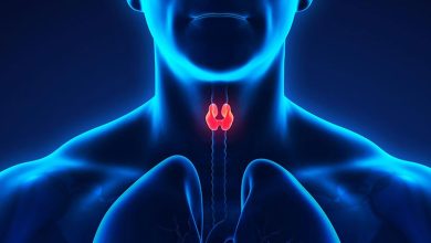 أعشاب تنشط الغدة الدرقية 21 الغدة الدرقية
