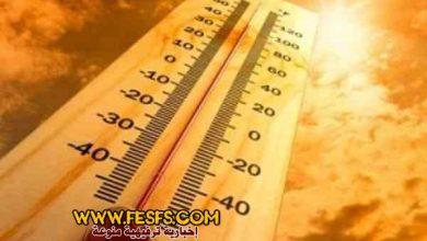 حالة الطقس في مصر