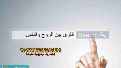 الفرق بين الروح والنفس 19 ما الفرق بين الروح والنفس؟