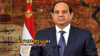 اعرف مرتبك الجديد ومدة الترقية حسب قانون الخدمة المدنية الجديد 18 الرئيس عبد الفتاح السيسي