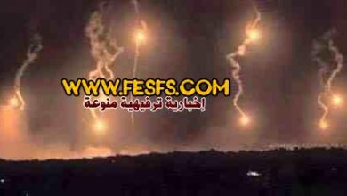 وزير الدفاع يبحث مع قائد الجيش الماليزي المشاركة في” عاصفة الحزم “ 14 عاصفة الحزم