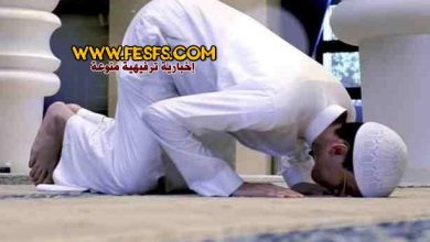 السهو فى الصلاة - حديث السهو في الصلاة 12 السهو فى الصلاة