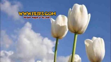 الحياء خلق يحبه الله ويقود للجنة 14 الحياء خلق يحبه الله ويقود للجنة