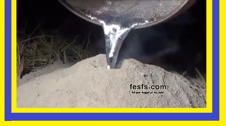 بالفيديو .. شيء لا يمكن توقعه ! عندما يتم صب المونيوم مصهور في بيت النمل ! 24 وضع المونيوم مصهور ببيت النمل