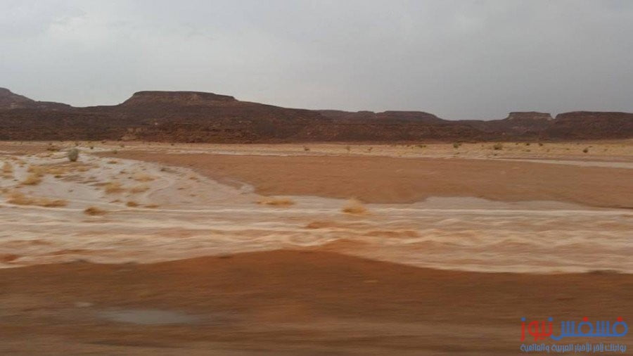 بالصور.. سيل وادي السعال بجنوب سيناء يقتل طفلة ويهدم منازل 10 سيول جنوب سيناء