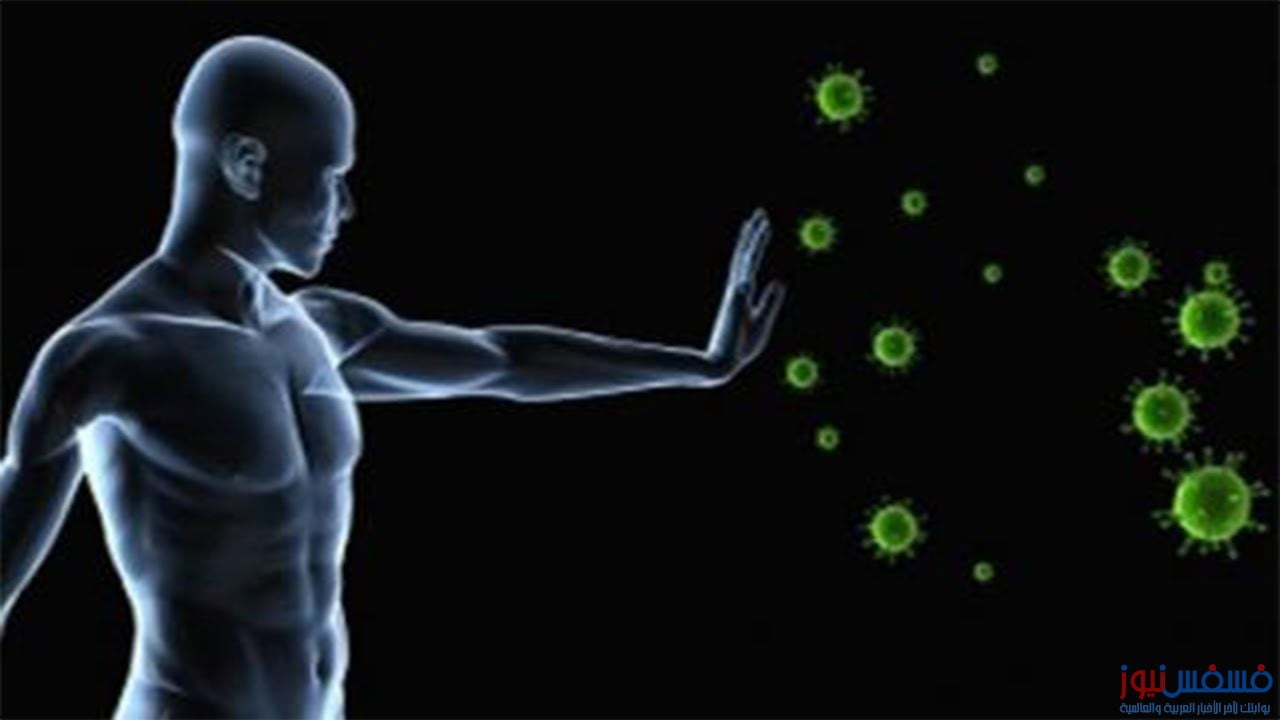 سبع نصائح ذهبية لتقوية جهاز المناعة عند الإنسان 73 تقوية جهاز المناعة
