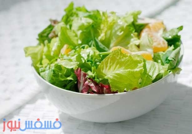تعرف علي فوائد الخس لجسم الإنسان ومكوناته الأساسية 38 الخس