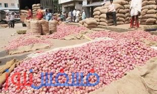 الهند إستوردت من مصر 18 ألف طن بصل خلال شهرين 1 محصول البصل