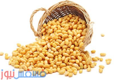تعرف علي الفوائد مذهلة لفول الصويا 28 الفوائد مذهلة لفول الصويا