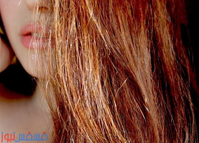 فوائد مياه الأمطار للشعر ، " الماء النعام " أفضل ماء يمكن عسل به الشعر .. تعرف عليه 10 فوائد مياه الأمطار للشعر