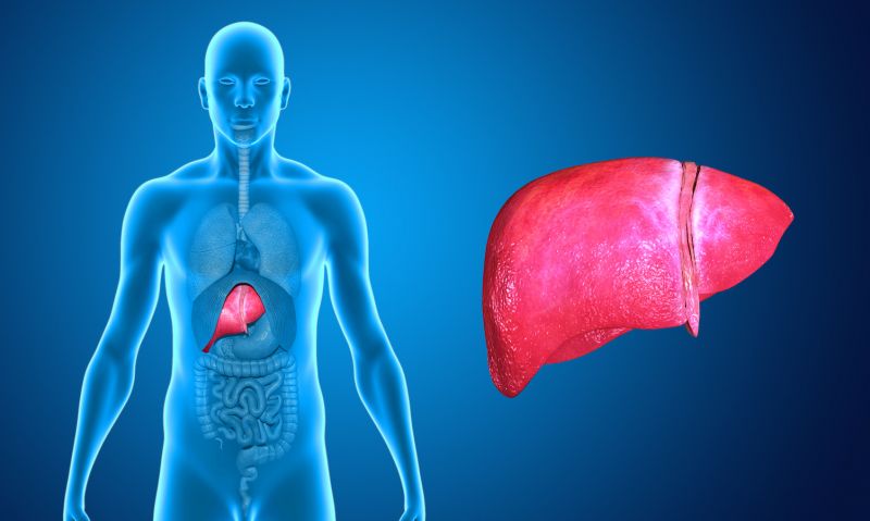 تنظيف الدم والكبد والكلى بوصفة طبيعية 10 تنظيف الدم والكبد والكلى بوصفة طبيعية