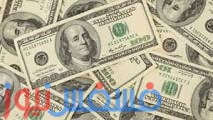سعر الدولار اليوم