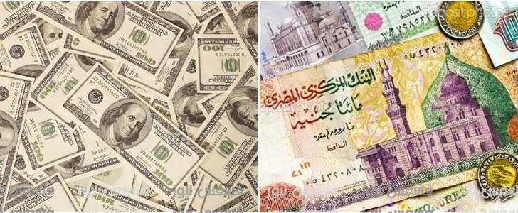 سعر الدولار اليوم في كل البنوك اليوم