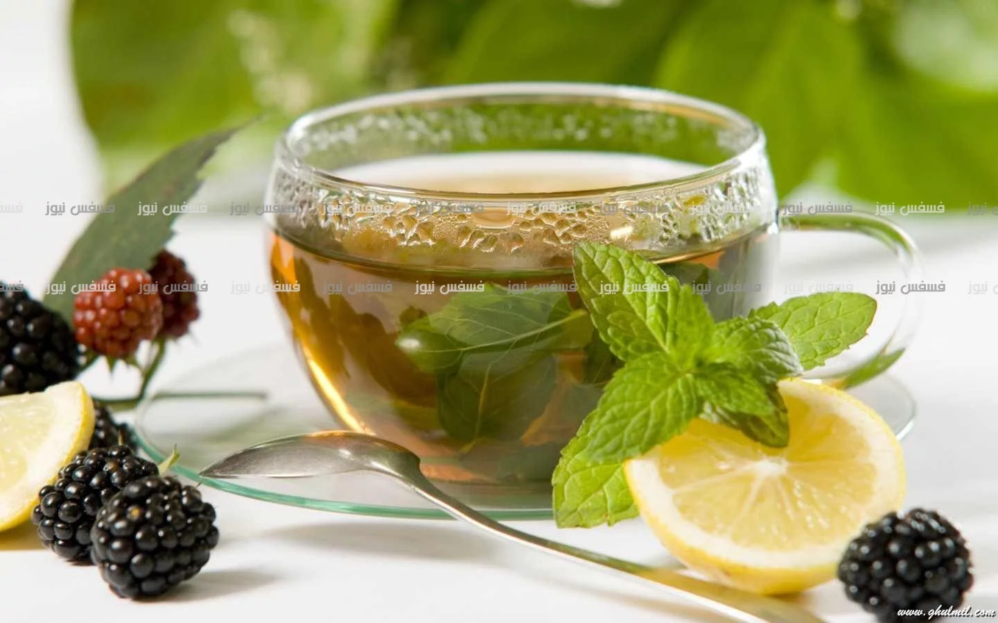 مشروبات صحية طبيعية بديلة للشاى والقهوة 11