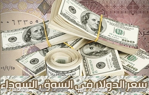 ارتفاع جديد فى سعر الدولار اليوم وتوقعات بتخطيه لسعر ٢٠ جنية 24 أسعار تداول الدولار اليوم