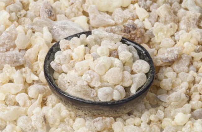 اللبان الدكر وفوائده