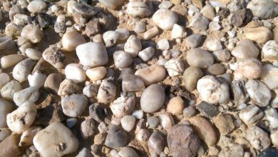 طريقة التيمم بالحجر الحكم والأدلة 12 طريقة التيمم بالحجر