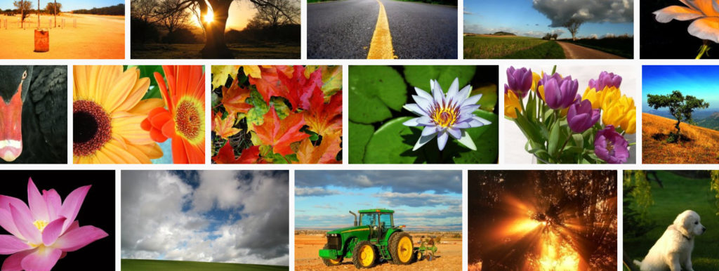 موقع الصور freeimages موقع الصور freeimages