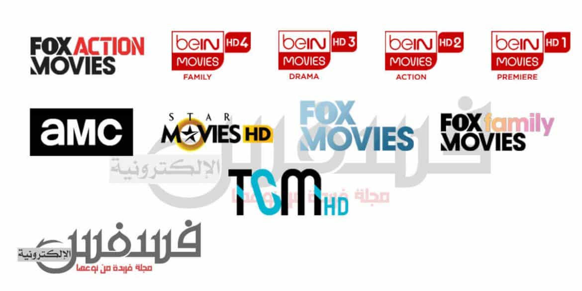 سعر اشتراك بي ان في مصر