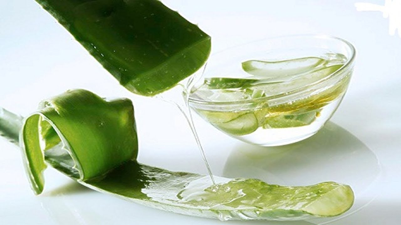 فوائد الصبار للشعر الخفيف والمتساقط احصلي على شعر كثيف وقوي مع الصبار موقع فسفس