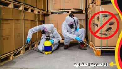 أفضل شركة تنظيف