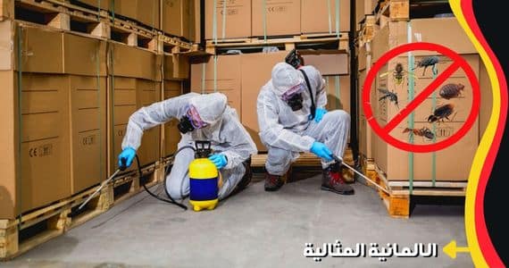 شركة الألمانية المثالية أفضل شركة مكافحة حشرات بجازان 10 أفضل شركة تنظيف