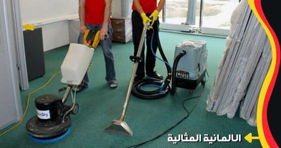 شركة الألمانية المثالية أفضل شركة مكافحة حشرات بجازان 10 أفضل شركة تنظيف