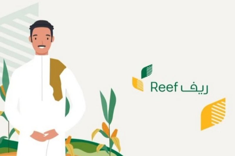 طريقة التسجيل في دعم ريف للمواشي طريقة التسجيل في دعم ريف للمواشي