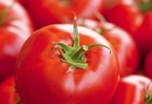 فوائد الطماطم