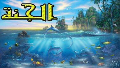 وصف الجنة في القرآن 28 وصف الجنة كما وصفها الرسول