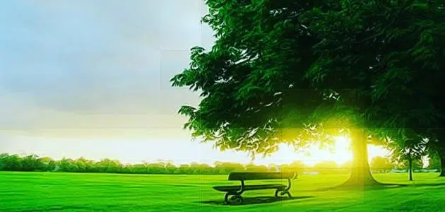 آيات دخول الجنة