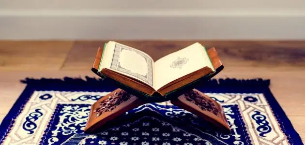 ما يستفاد من سورة الانسان؟