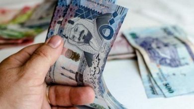 نظام الضمان الاجتماعي المطور 15 نظام الضمان الاجتماعي المطور