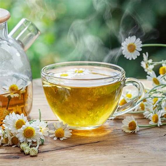 فوائد البابونج للأعصاب فوائد البابونج للأعصاب