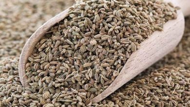 فوائد اليانسون 12 فوائد اليانسون