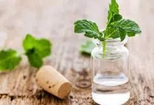 فوائد زيت النعناع لنزلات البرد
