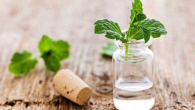 فوائد زيت النعناع لنزلات البرد 13 فوائد زيت النعناع لنزلات البرد
