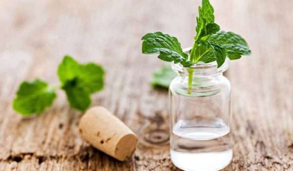 فوائد زيت النعناع لنزلات البرد 10 فوائد زيت النعناع لنزلات البرد
