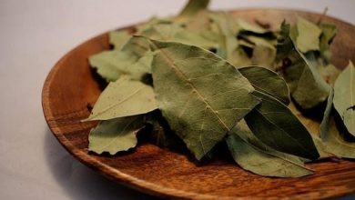 فوائد ورق الغار للتنحيف 25 فوائد ورق الغار للتنحيف