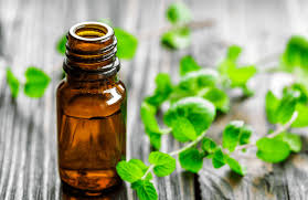 أضرار زيت النعناع أضرار زيت النعناع