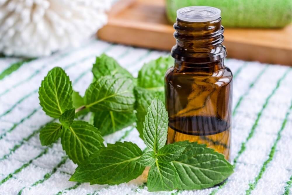 كيفية استخدام زيت النعناع لنزلات البرد كيفية استخدام زيت النعناع لنزلات البرد